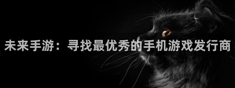 广州杏耀电子商务