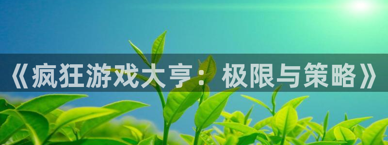 法国杏耀：《疯狂游戏大亨：极限与策略》