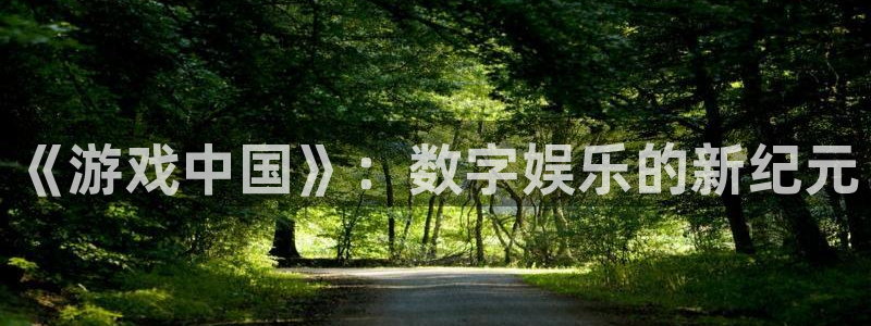 杏耀子招聘：《游戏中国》：数字娱乐的新纪元