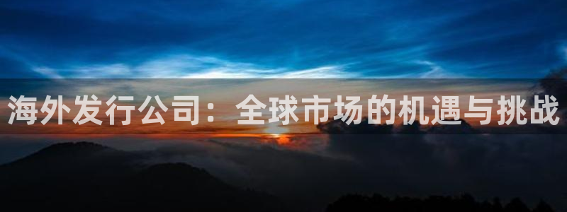 杏耀官网登录注册不了怎么办：海外发行公司：全球市场的机遇与挑战