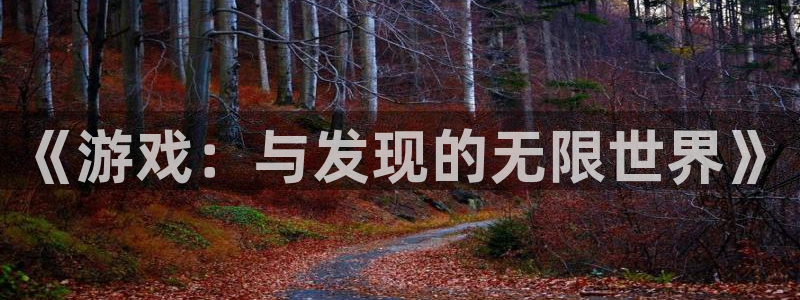 杏耀品牌策划