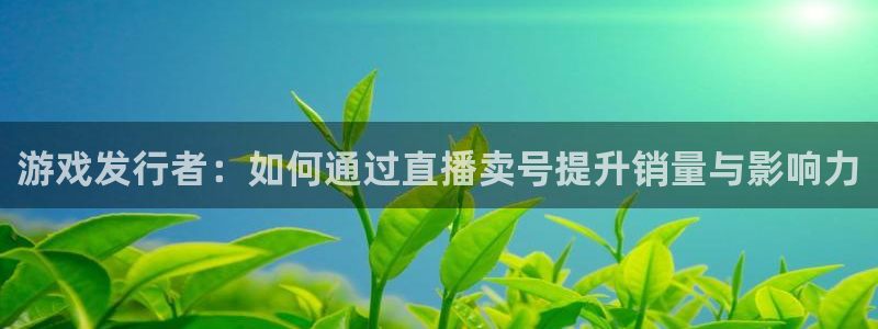 杏耀官网：游戏发行者：如何通过直播卖号提升销量与影响力