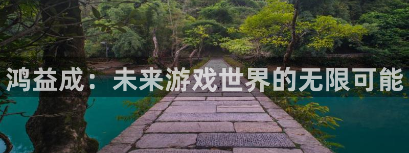 杏耀官网登录注册不了怎么回事：鸿益成：未来游戏世界的无限可能