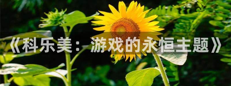 杏耀官网招商主管